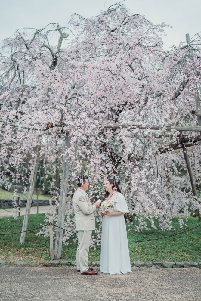 A couple celebrating their vow exchange beneath the iconic weeping cherry tree at Maruyama Park in Kyoto during a spring elopement and pre wedding photoshoot.