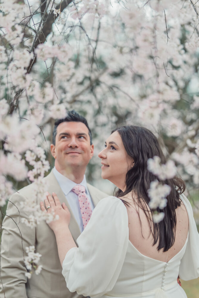 A romantic couple enjoying full bloom cherry blossoms at Maruyama Park in Kyoto during a spring elopement and pre wedding photoshoot.