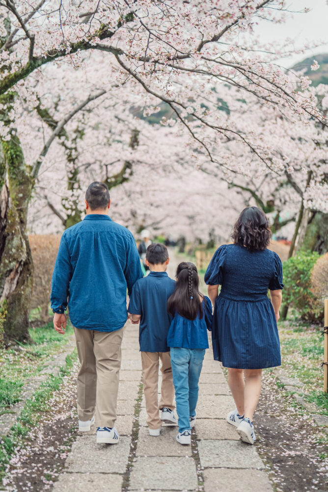 A family walking together through a tunnel of blooming cherry blossoms on Philosopher’s Path in Kyoto family photoshoot