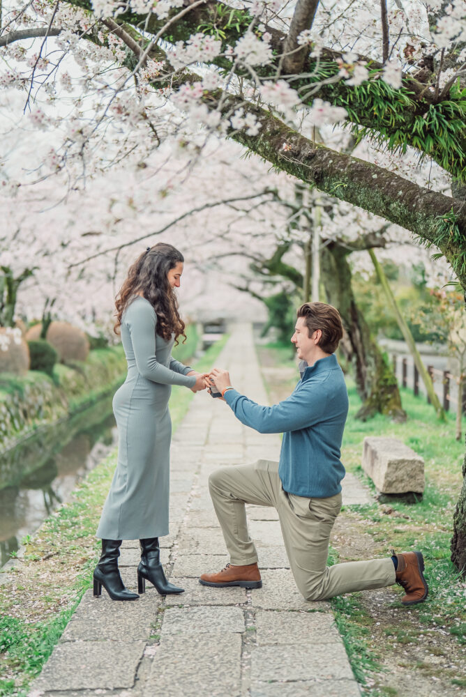 A couple exchanging an engagement ring beneath full-bloom cherry blossoms at Philosopher's Path in Kyoto during a spring engagement photoshoot.