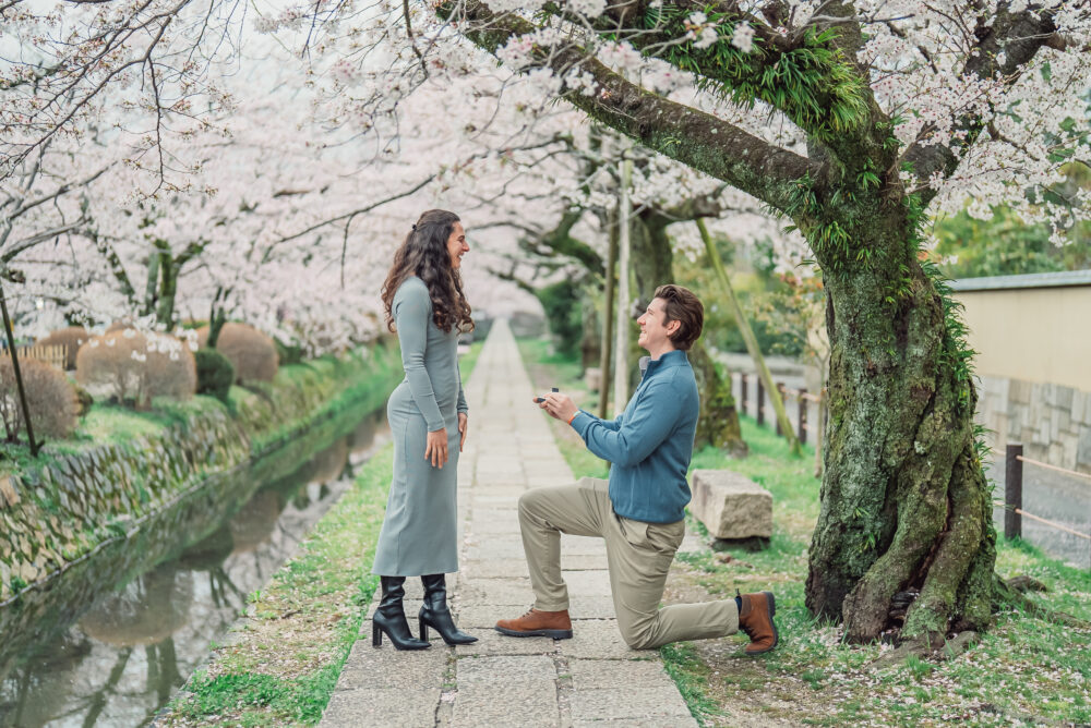 A surprise proposal beneath full-bloom cherry blossoms at Philosopher's Path in Kyoto during a spring morning photoshoot.