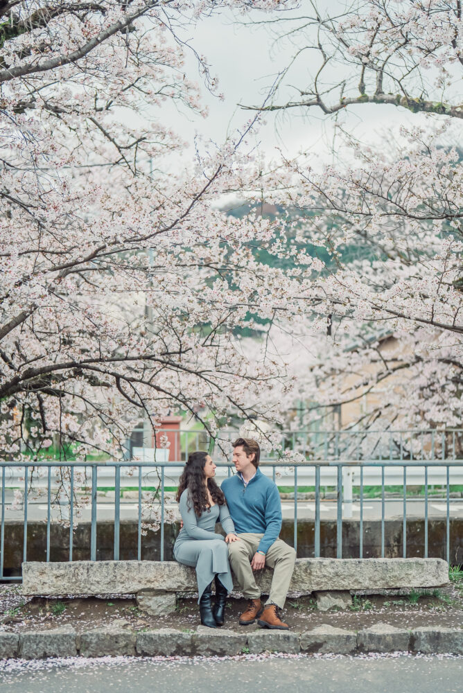A happy engaged couple sitting together on a bench under blooming cherry blossoms on Philosopher’s Path in Kyoto after their proposal