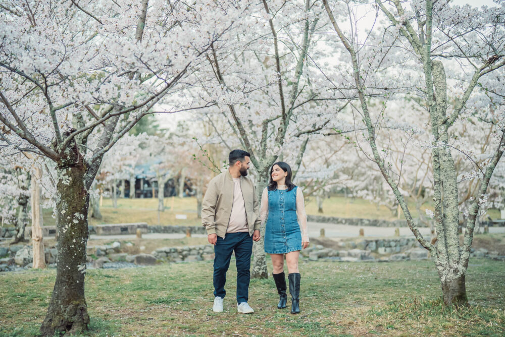 A romantic couple enjoying cherry blossoms at Maruyama Park in Kyoto during a spring engagement photoshoot in Higashiyama.