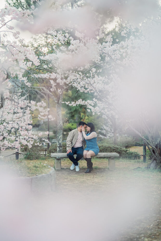 A newly engaged couple sitting under blooming cherry blossoms with their foreheads touching in Maruyama Park, Kyoto after a surprise proposal