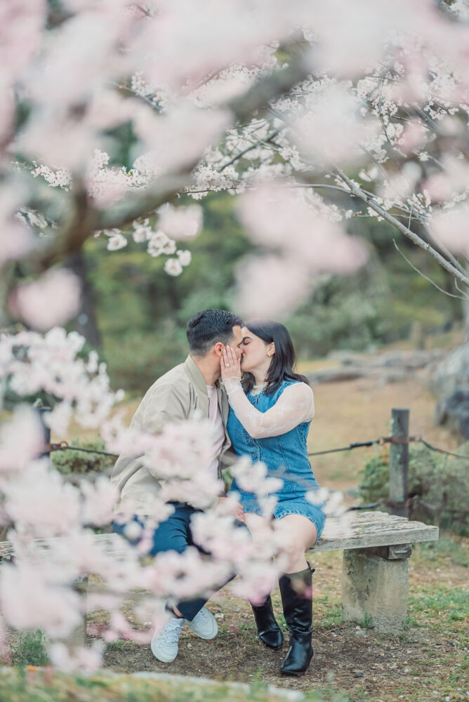 A newly engaged couple sharing a kiss beneath blooming cherry blossom trees after a surprise proposal in Maruyama Park, Kyoto