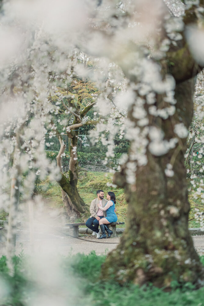 A newly engaged couple sitting on a bench beneath the iconic blooming weeping cherry tree after a surprise proposal in Maruyama Park, Kyoto