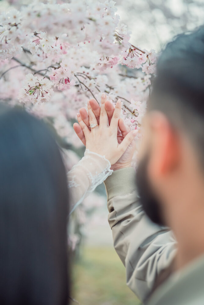 A newly engaged couple admiring their engagement ring with blooming cherry blossoms in the background after a surprise proposal in Kyoto