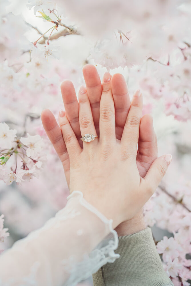 A close-up of an engagement ring with beautiful cherry blossoms in the background after a surprise proposal in Kyoto
