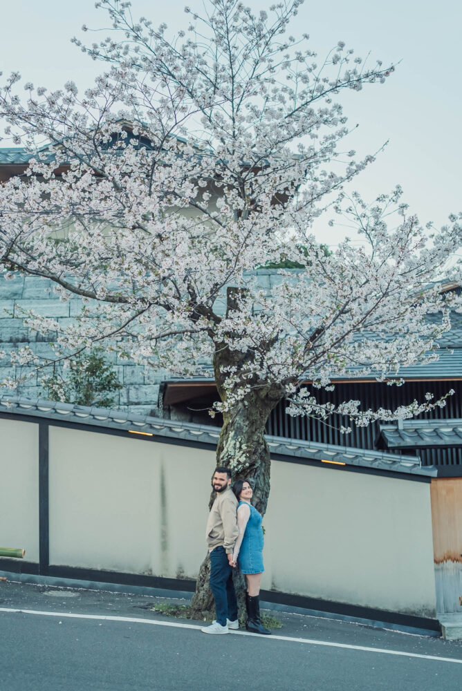 A couple standing back to back beneath cherry blossoms in Higashiyama Kyoto during a Kyoto spring engagement photoshoot.