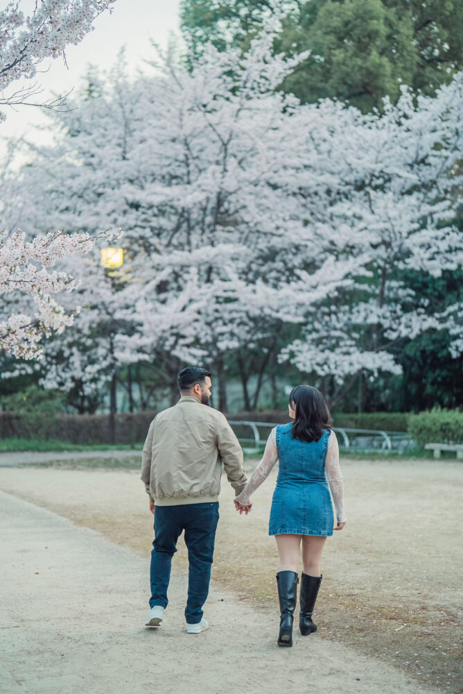 A romantic couple enjoying cherry blossoms and lantern lights in Higashiyama Kyoto during an early morning engagement photoshoot.