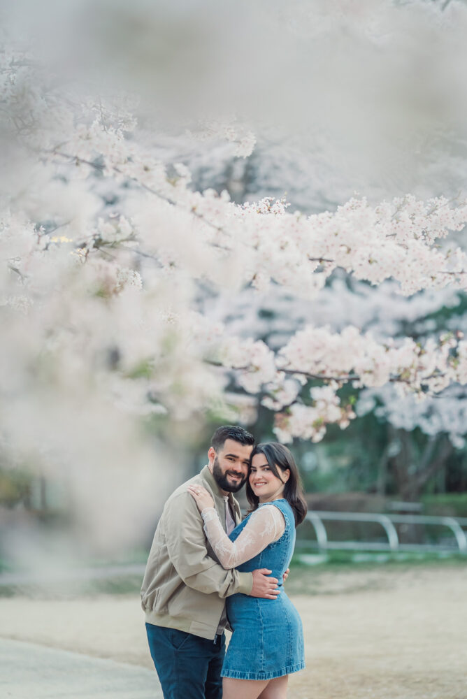 A romantic couple embracing under cherry blossoms in Higashiyama Kyoto during a Kyoto spring engagement photoshoot.