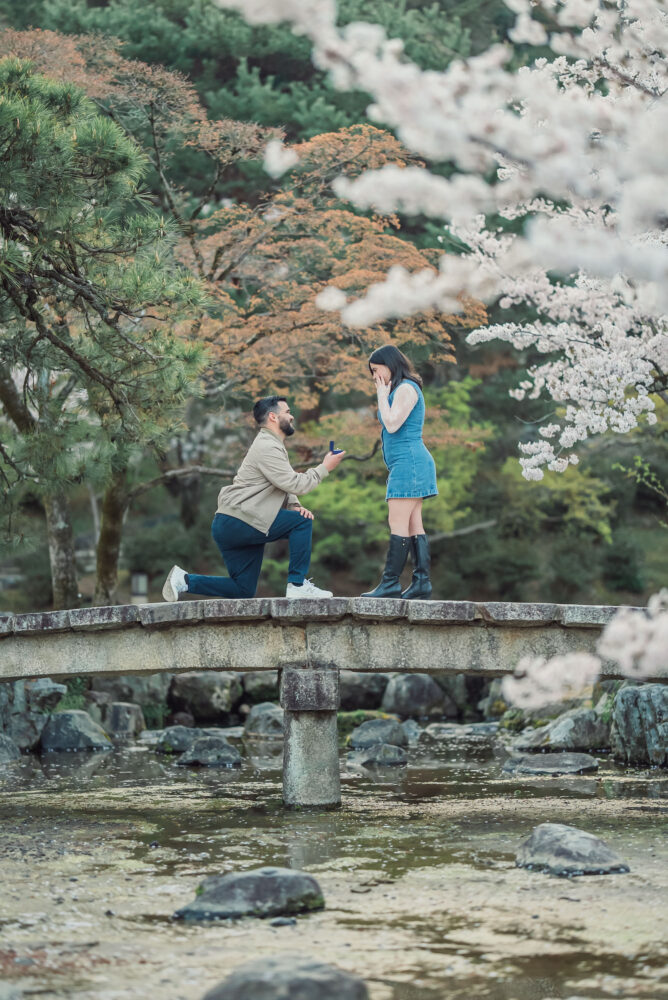 A couple recreating a romantic proposal on a bridge at Maruyama Park in Kyoto with cherry blossoms during a spring engagement photoshoot.